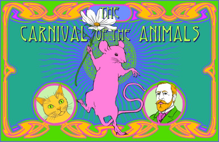 The Carnival of The Animals: The Experience