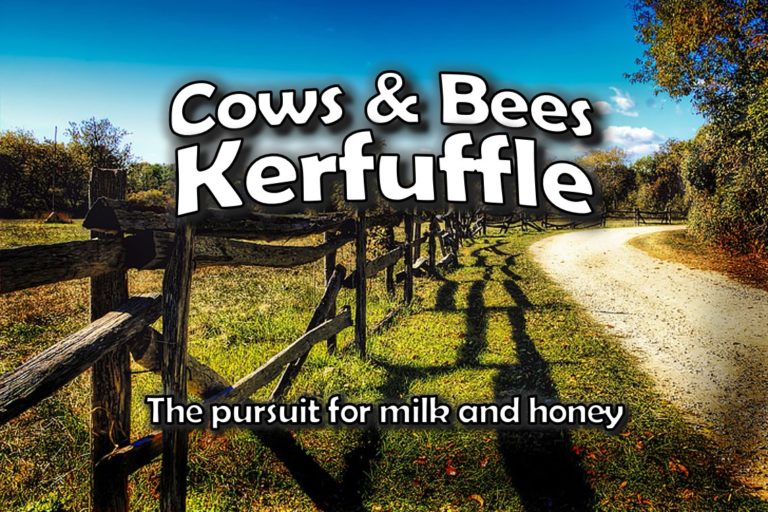 Cows & Bees Kerfuffle